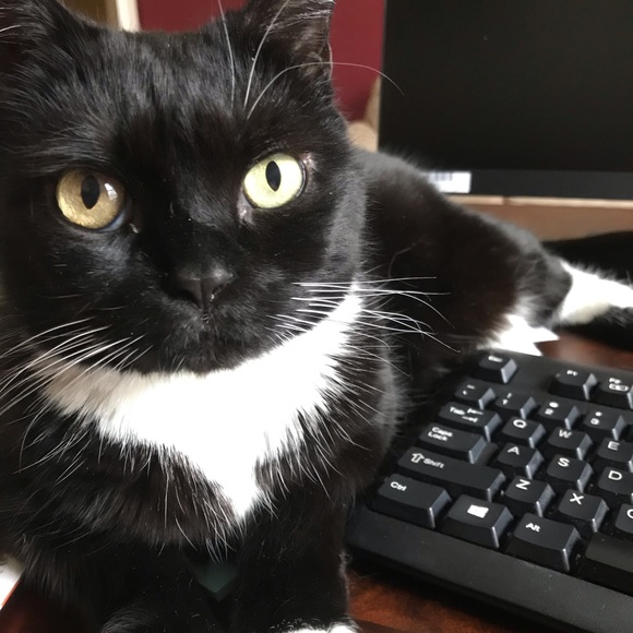 Hi, I am Tatyana. Thank you for stopping by. - Picture 11 of 11